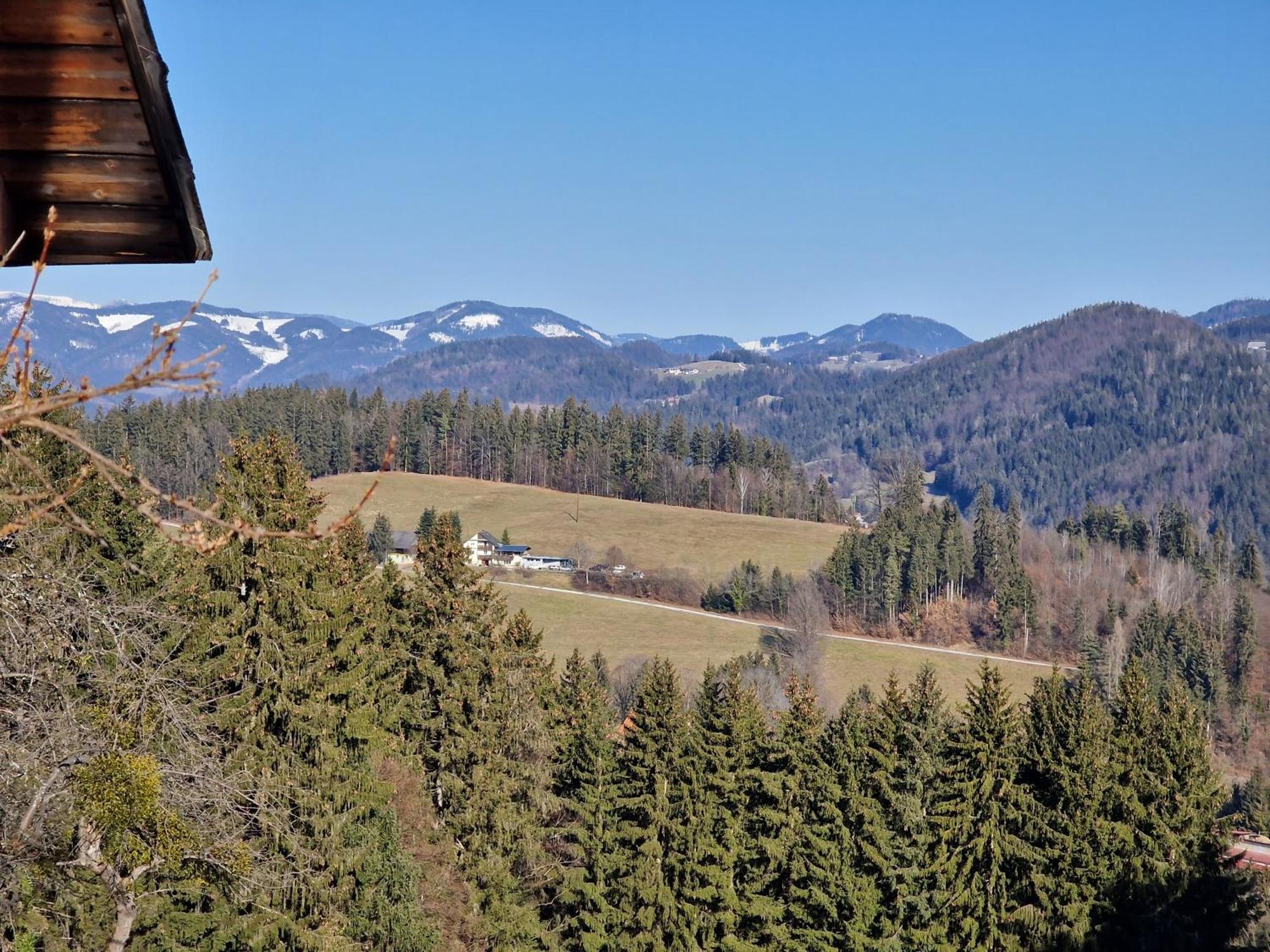 Natur- & Erlebnis Ferienhaus Voitsberg Dış mekan fotoğraf