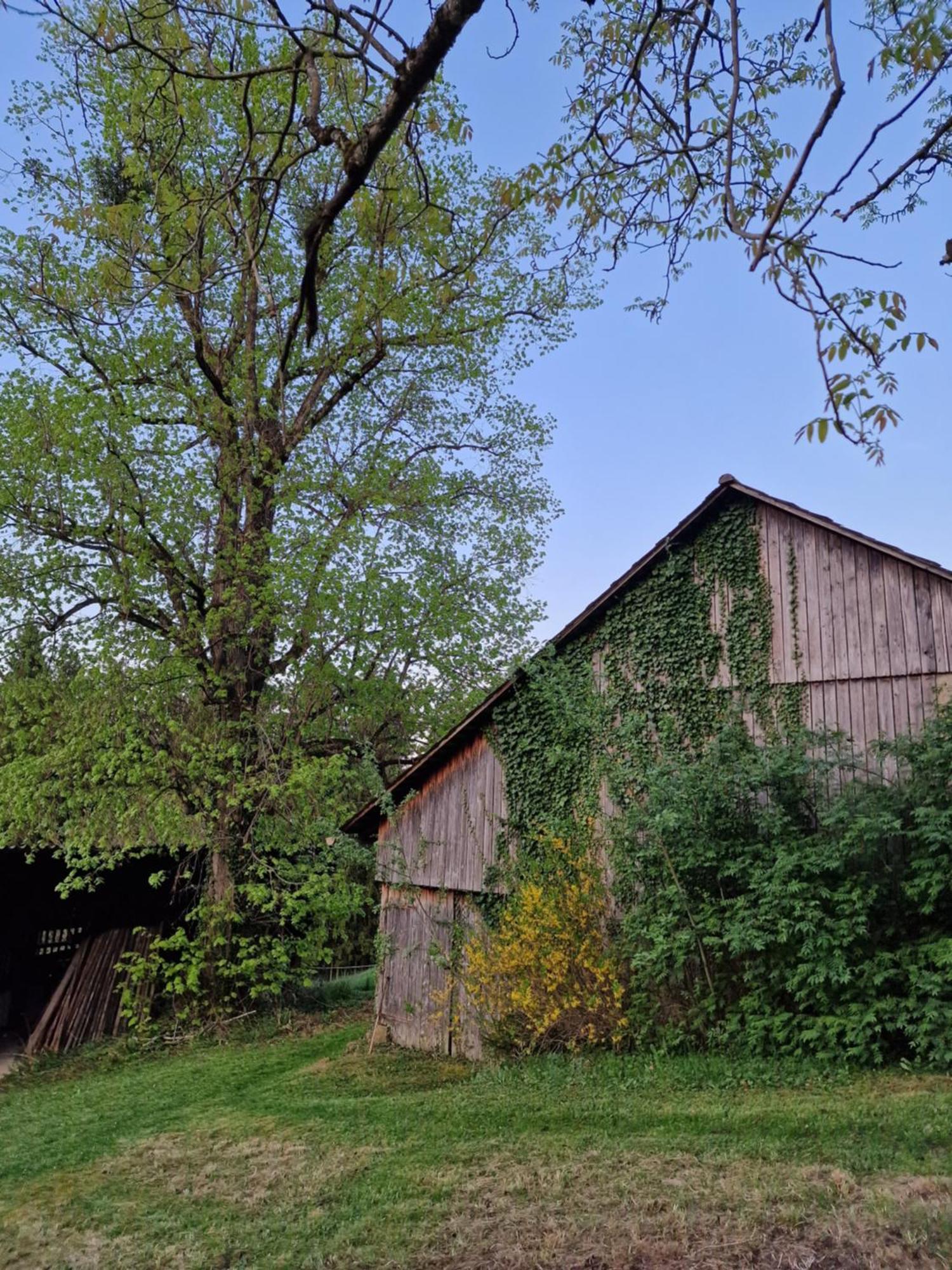 Natur- & Erlebnis Ferienhaus Voitsberg Dış mekan fotoğraf